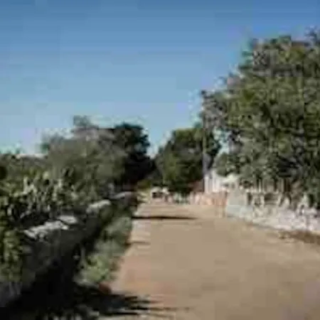 Olive House *